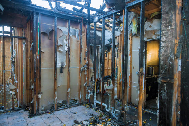 Professional Fire Damage Removal technician working in Albertville, MN