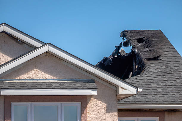 Top rated local Fire Damage Removal specialists in Albertville, MN